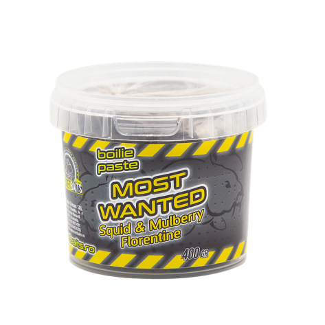 Secret Baits Most Wanted Boilie Paste