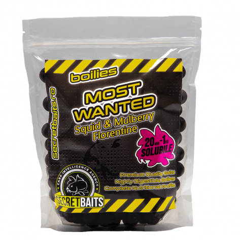 Secret Baits Soluble Most Wanted Boilies